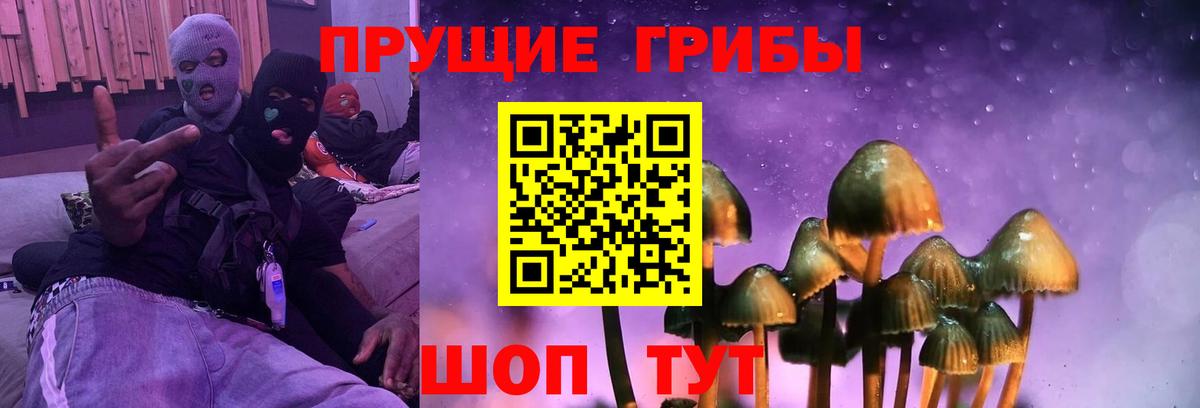 Псилоцибиновые грибы Magic Shrooms Кулебаки