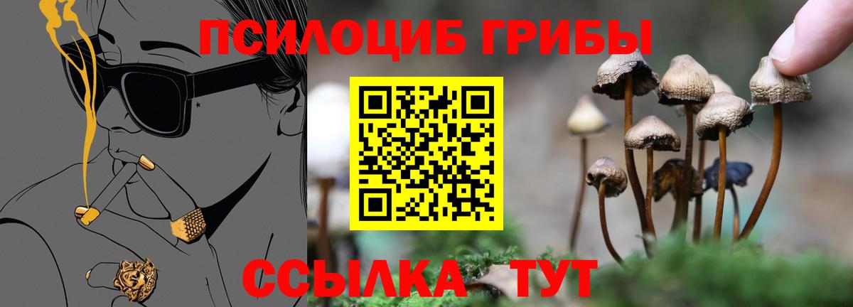 Галлюциногенные грибы GOLDEN TEACHER  продажа наркотиков  Кулебаки  Вход с VPN 